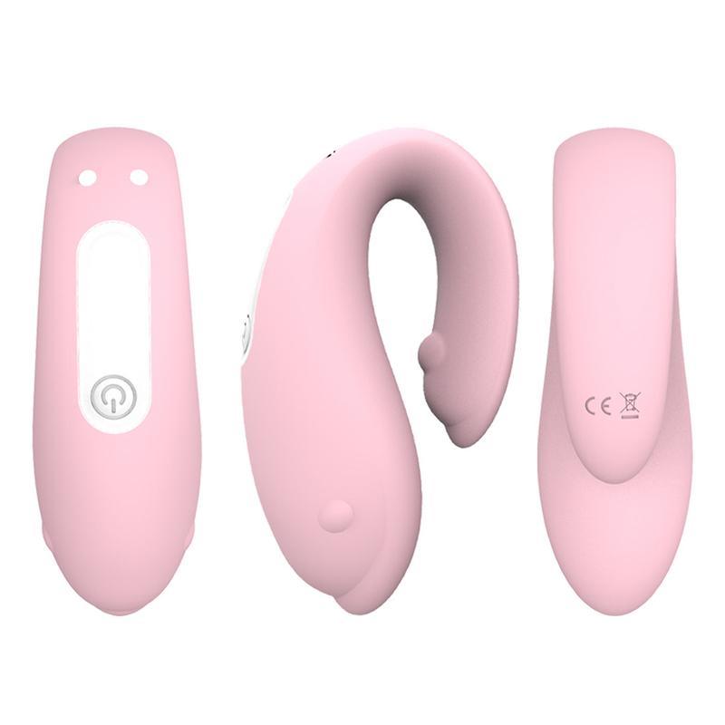 Winter Dolphin We Vibe - Wireless remote control